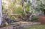2962 Club Road (Image 14)