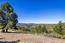 25330 Tierra Grande Drive (Image 2)