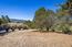 25330 Tierra Grande Drive (Image 5)