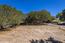 25330 Tierra Grande Drive (Image 8)
