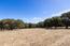 8170 Manjares (Image 6)