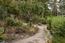 3029 Forest Way (Image 20)