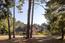 1263 Sombria Lane - SOLD (Image 1)