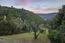 28007 Mercurio Road (Image 1)