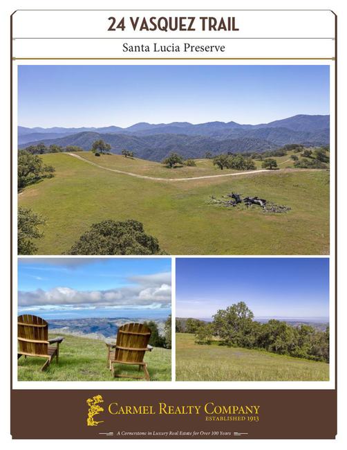 Property Flyer