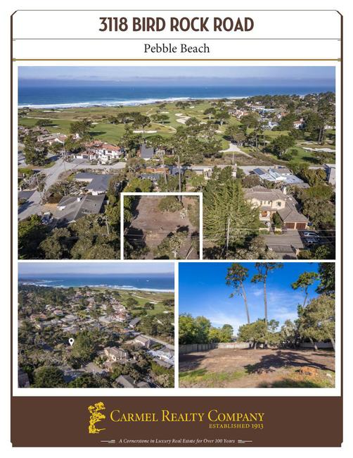 Property Flyer