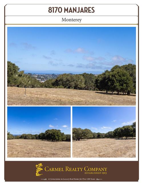 Property Flyer