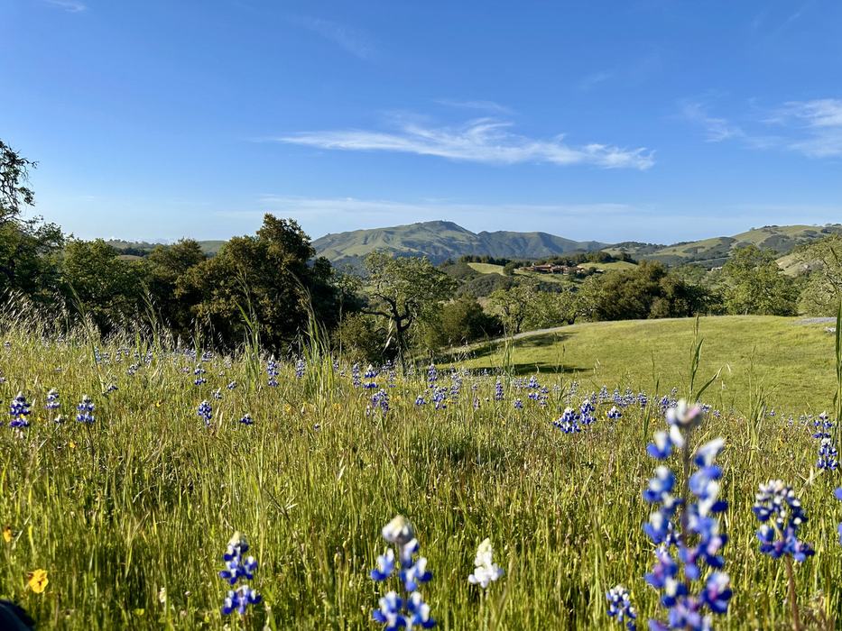 8 Touche Pass, Carmel