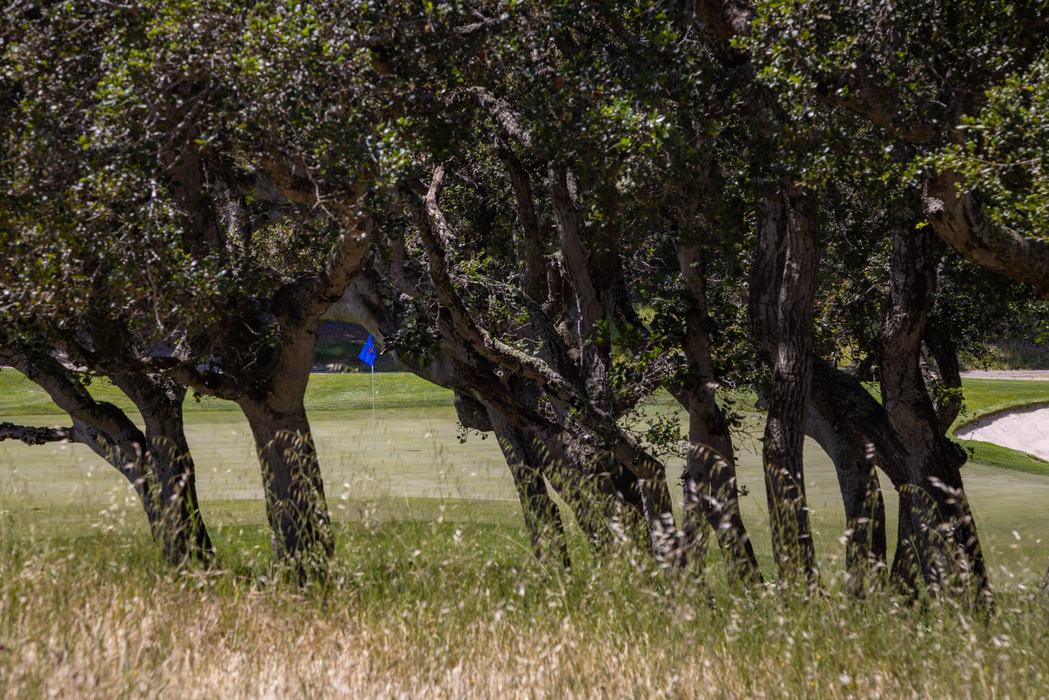 25520 Via Malpaso, Lot 92, Carmel