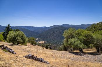 Luxury Homes in Carmel Valley