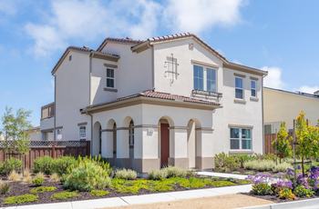 Luxury Homes in Marina