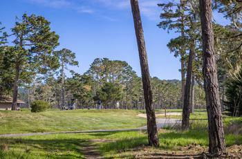 Luxury Homes for sale in Pebble Beach