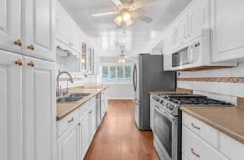 Luxury Homes in Seaside