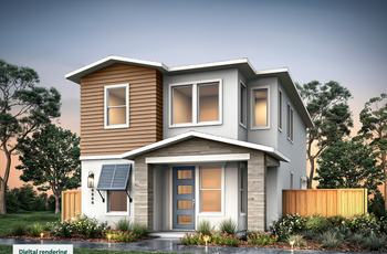 Luxury Homes in Marina
