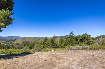 Luxury Homes for sale in Carmel
