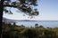 3163 Del Ciervo Road - SOLD (Image 33)