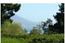 1516 Riata Road - SOLD (Image 2)