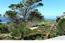 3032 Cormorant Road - SOLD (Image 7)