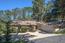 2810 Forest Lodge - SOLD (Image 2)