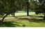 1064 SAN CARLOS Road - SOLD (Image 8)