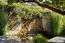 2990 Red Wolf Drive - SOLD (Image 16)