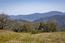 26 Long Ridge Trail (Image 9)