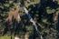 25540 Via Malpaso (Lot 91) (Image 4)