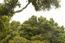 5466 Quail Way (Image 37)