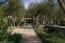 51 Marguerite (Tehama Homesite 51) - SOLD (Image 2)