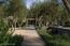 51 Marguerite (Tehama Homesite 51) - SOLD (Image 12)
