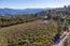 51 Marguerite (Tehama Homesite 51) - SOLD (Image 26)