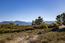 51 Marguerite (Tehama Homesite 51) - SOLD (Image 32)