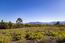 51 Marguerite (Tehama Homesite 51) - SOLD (Image 34)