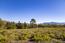 51 Marguerite (Tehama Homesite 51) - SOLD (Image 36)
