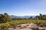 51 Marguerite (Tehama Homesite 51) - SOLD (Image 37)