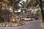 3217 17 Mile Drive (Image 36)