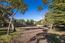 3118 Bird Rock Road (Image 5)