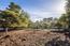3118 Bird Rock Road (Image 7)
