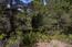 25520 Via Malpaso, Lot 92 (Image 17)