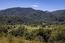 37 Pronghorn Run (Image 5)