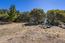 25330 Tierra Grande Drive (Image 6)