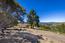 25330 Tierra Grande Drive (Image 7)