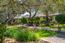 13101 Corte De Encanto (Image 2)