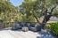 13101 Corte De Encanto (Image 36)