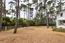 3100 Flavin Lane (Image 5)