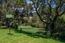 28094 Barn Way (Image 28)