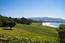 3392 17 Mile Drive - SOLD (Image 5)