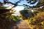 Cuesta Way - SOLD (Image 27)