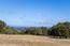 8170 Manjares (Image 1)