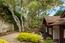 Luxury Homes in Monterey (Image 7)
